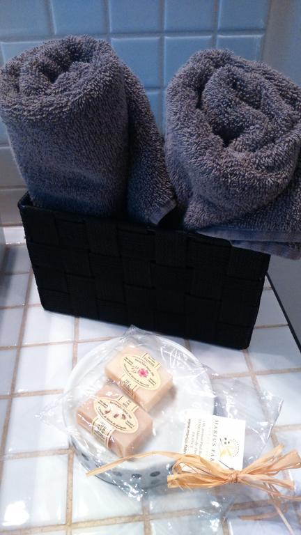 Chambres D'Hotes Maison Auguste サロン＝ド＝プロヴァンス 部屋 写真