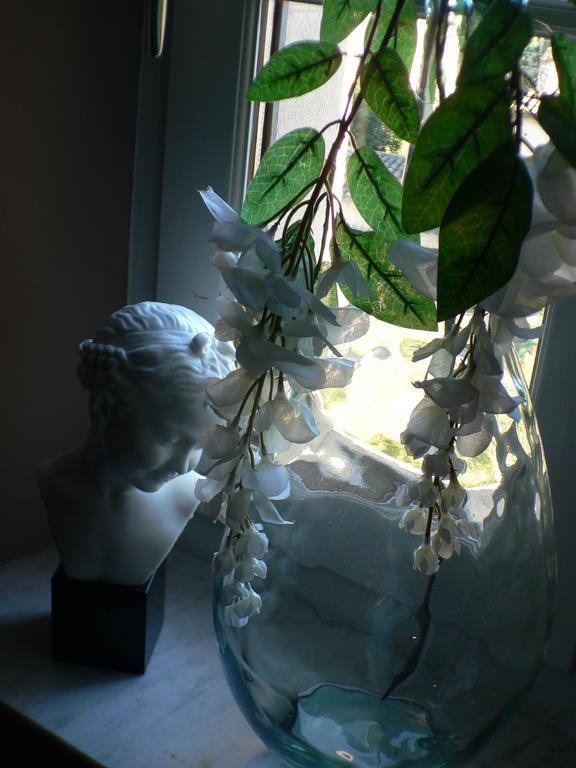 Chambres D'Hotes Maison Auguste サロン＝ド＝プロヴァンス エクステリア 写真