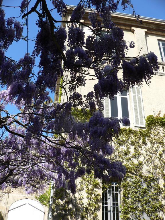 Chambres D'Hotes Maison Auguste サロン＝ド＝プロヴァンス エクステリア 写真